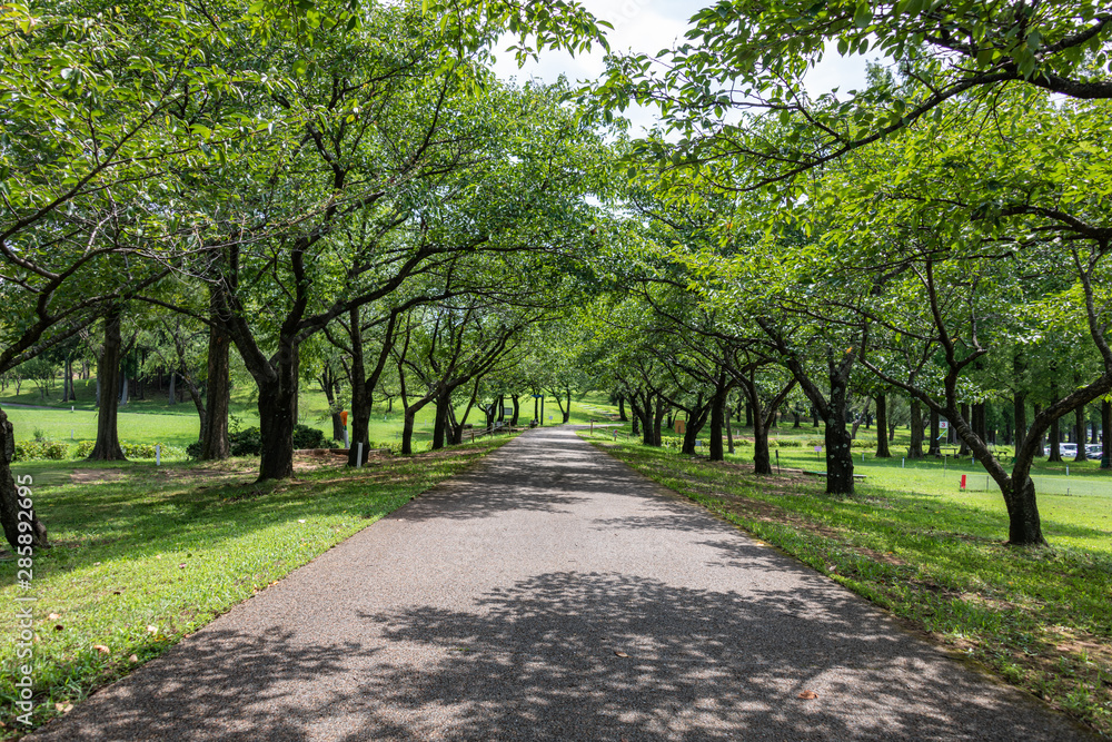 日曜日の都市公園