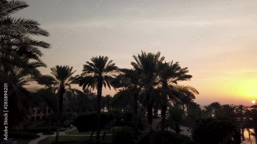 Panning shot of palm trees silhouette, pool, beach and sunset Panning shot of palm trees silhouette, pool, beach and sunset