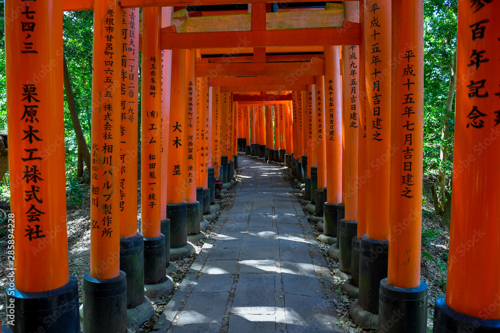 Red torii gates walkway, Fushimi Inari Shrine, Kyoto, Japan Red torii gates walkway, Fushimi Inari Shrine, Kyoto, Japan