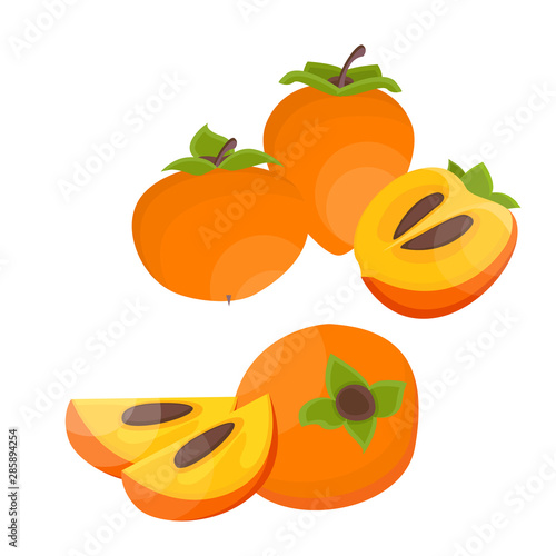 Bright vector slice and the whole of juicy persimmon. Fresh cartoon persimmon isolated on white background. Vector.