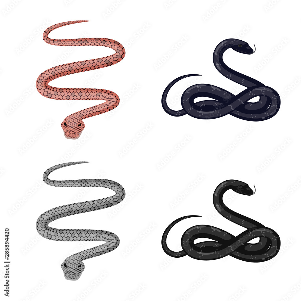 Isolated object of mammal and danger icon. Set of mammal and medicine vector icon for stock. Isolated object of mammal and danger icon. Set of mammal and medicine vector icon for stock.