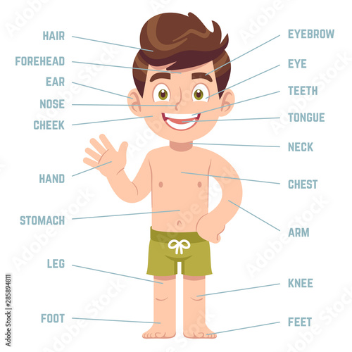 Child body parts. Boy with eye, nose and mouth, hair, ear and callouts with english words cartoon preschool education vector diagram