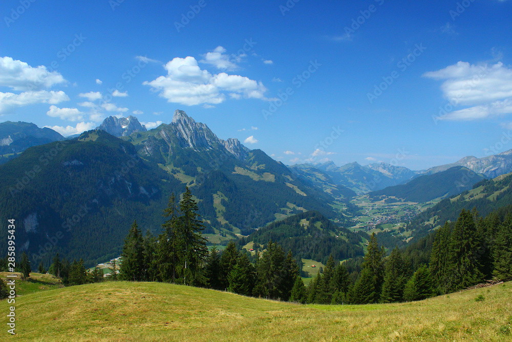 View from the mountains near Saanen, Switzerland, in summer 2019. At the right the village Rougemont. 