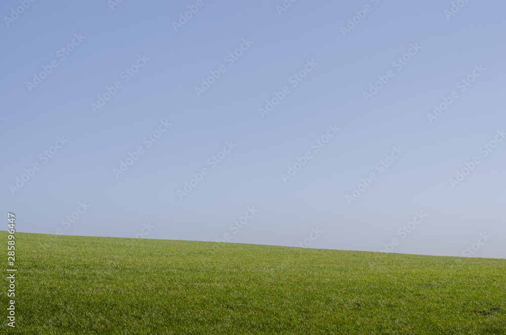 Fototapeta premium gruene wiese und blauer himmel