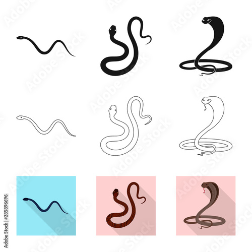 Vector illustration of mammal and danger icon. Set of mammal and medicine stock symbol for web.