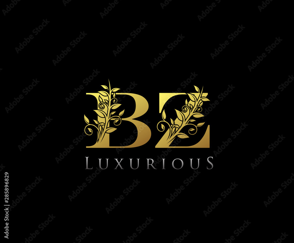Initial letter B and BZ, BZ, Vintage decorative ornament emblem badge, overlapping monogram logo, classy letter logo icon.