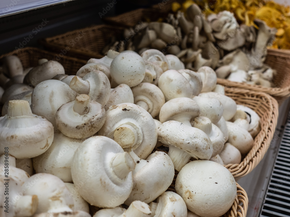 Mushroom champignon on market. mushrooms at the farmers market. Mushroom champignon on market. mushrooms at the farmers market.