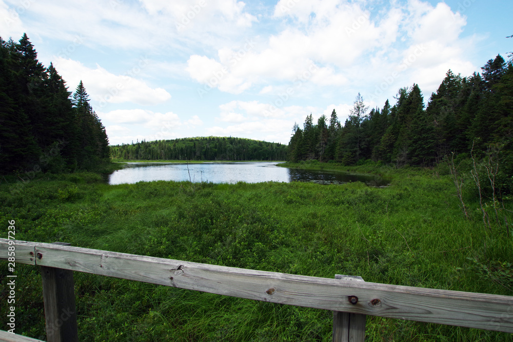 Nature du parc national de la Mauricie au Québec