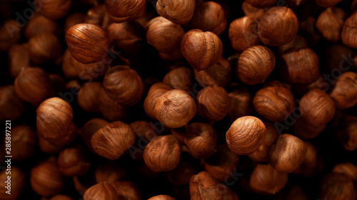 Photos Hazelnuts in freeze motion