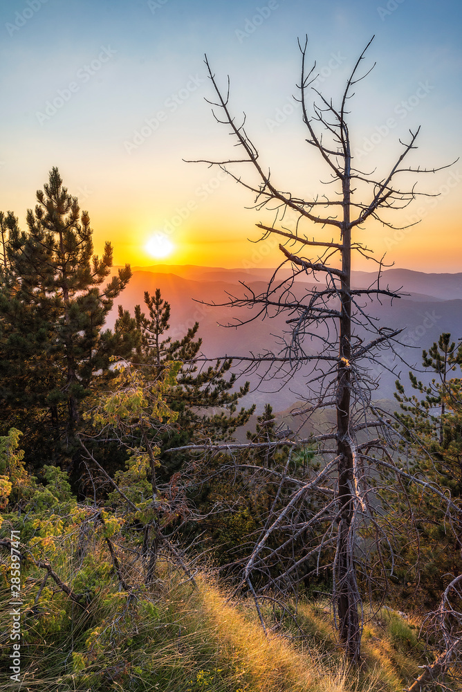Summer sunset from The red wall reserve in Rhodope mountain, Bulgaria Summer sunset from The red wall reserve in Rhodope mountain, Bulgaria