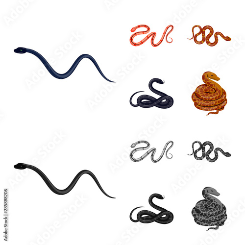 Vector illustration of mammal and danger sign. Collection of mammal and medicine vector icon for stock.