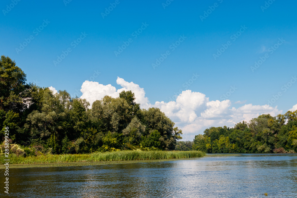 Fototapeta premium Summer landscape with beautiful river, green trees and blue sky