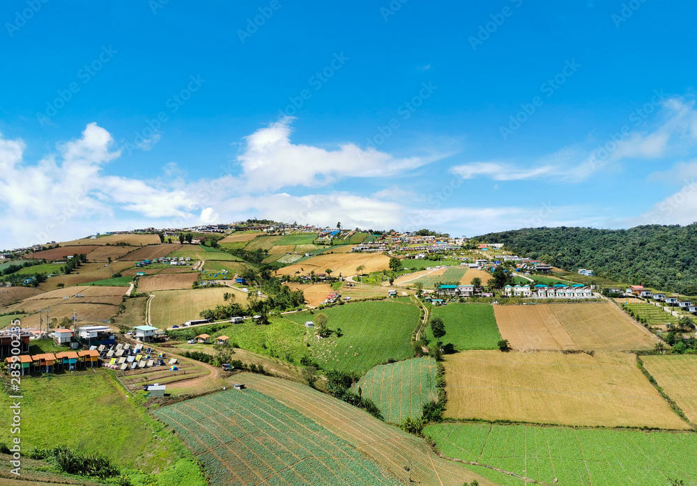 Many  resort on mountains and farming  blue sky background with copy space