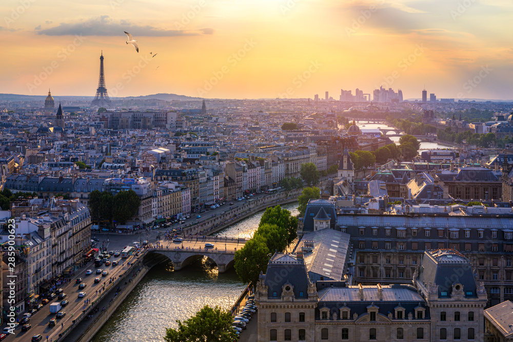 Paris, France, Seine river cityscape in summer colors with birds flying over the city. Paris city aerial panoramic view. Paris is the capital and most populous city of France. Postcard of Paris.