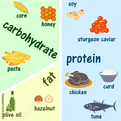 Low carbohydrate diet diagram. Macronutrient ratio poster. Fat loss concept. Colourful vector illustration isolated on a light beige background.