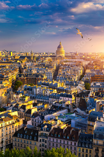 Paris, France, Seine river cityscape in summer colors with birds flying over the city. Paris city aerial panoramic view. Paris is the capital and most populous city of France. Postcard of Paris. © daliu