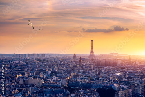 Paris, France, Seine river cityscape in summer colors with birds flying over the city. Paris city aerial panoramic view. Paris is the capital and most populous city of France. Postcard of Paris. © daliu