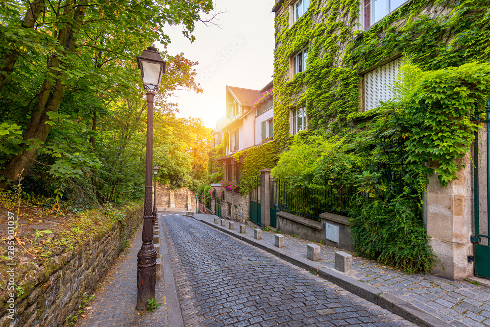 Montmartre district of Paris. Houses on narrow road in Montmartre district of Paris. View of cozy street in quarter Montmartre in Paris, France. Architecture and landmarks of Paris. Postcard of Paris.