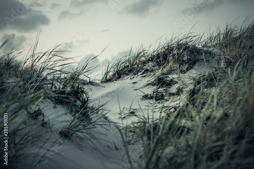 D  nen an der Nordsee bei Sankt Peter Ording