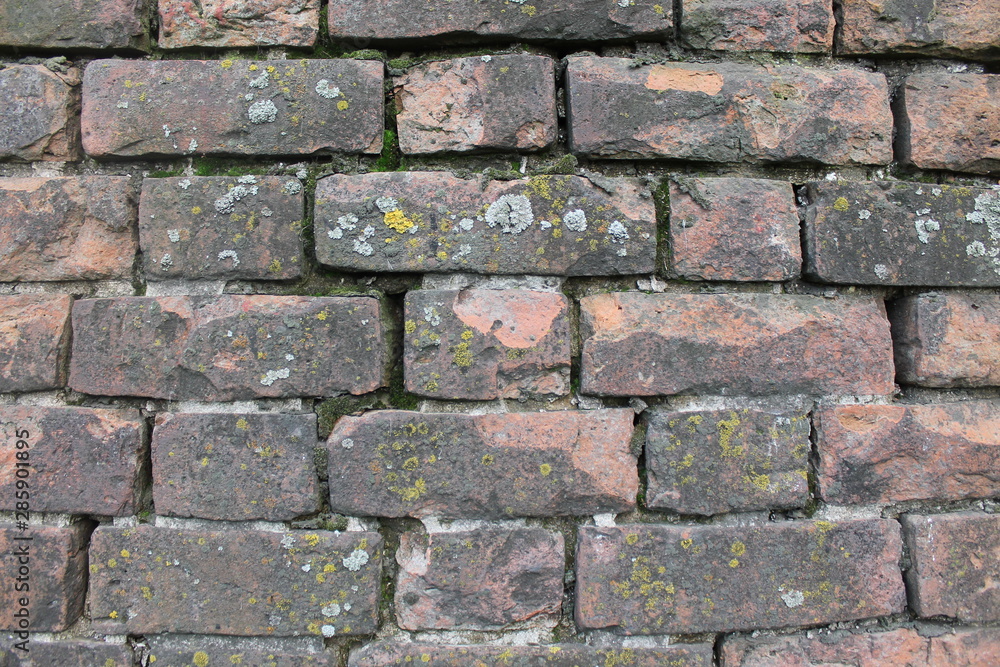 Fototapeta premium old brick wall