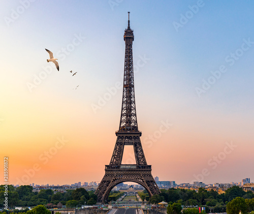 Eiffel tower in summer with flying birds, Paris, France. Scenic panorama of the Eiffel tower under the blue sky. View of the Eiffel Tower in Paris, France in a beautiful summer day. Paris, France.