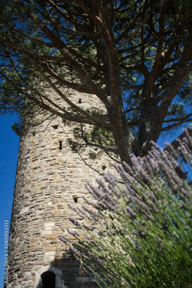 Fototapeta premium Turenne en Corrèze.