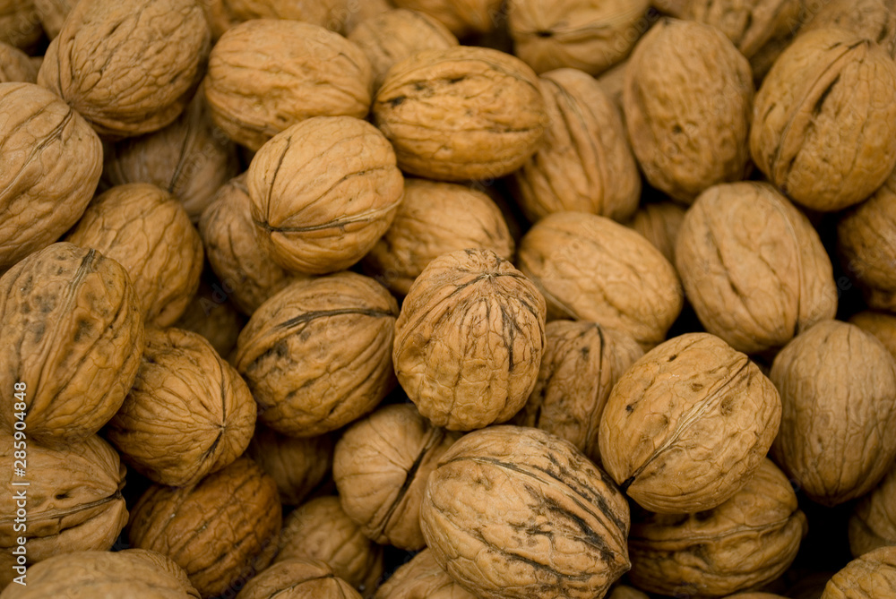 group of walnuts, brown, with still shell, dried, fresh, at local fruit market, agriculture, food, diet, snack, vitamins, nourishment, nutrition, summer, background, Milan, Italy group of walnuts, brown, with still shell, dried, fresh, at local fruit market, agriculture, food, diet, snack, vitamins, nourishment, nutrition, summer, background, Milan, Italy