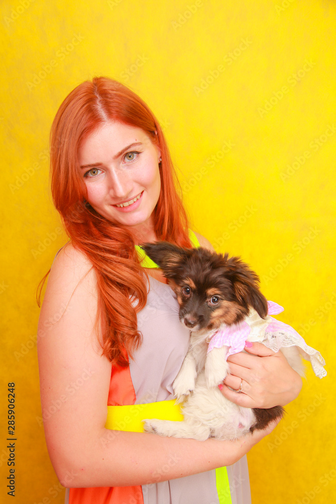 Cute pretty young lady wearing stylish bright summer dress and smiling while hugging adorable little puppy Papillon on white studio background
