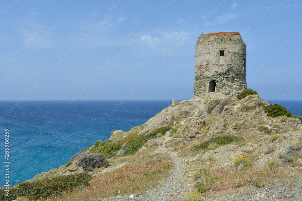 The Tower of Agnellu, a Genoese tower located in the commune of Rogliano (Haute-Corse). Sentier des douaniers. Corsica, France
