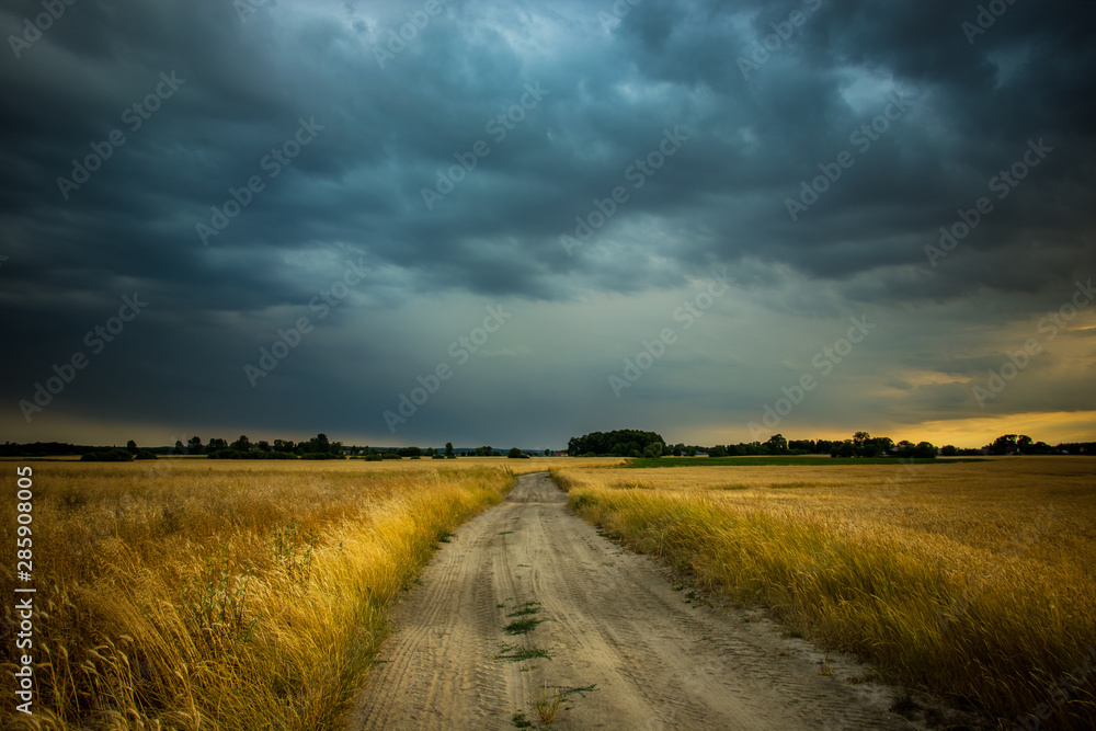 Country road, cereal and rainy cloud