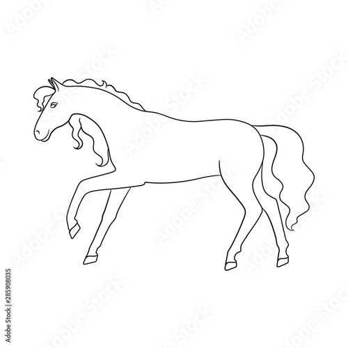 Isolated object of horse and hippodrome icon. Set of horse and horseback stock vector illustration.