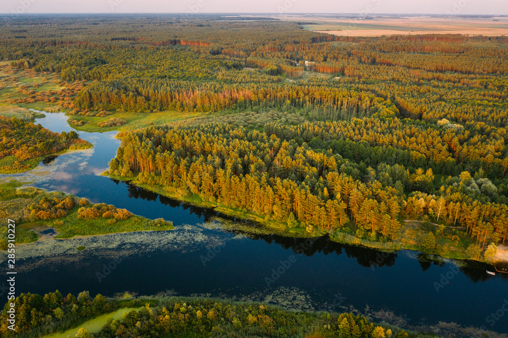 Aerial View Green Pine Forest And River Landscape In Sunny Summer Evening. Top View Of Beautiful European Nature From High Attitude In Summer Season. Drone View. Bird's Eye View