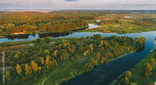 Fototapeta Naklejka Na Ścianę i Meble -  Aerial View Green Pine Forest And River Landscape In Sunny Summer Evening. Top View Of Beautiful European Nature From High Attitude In Summer Season. Drone View. Bird's Eye View