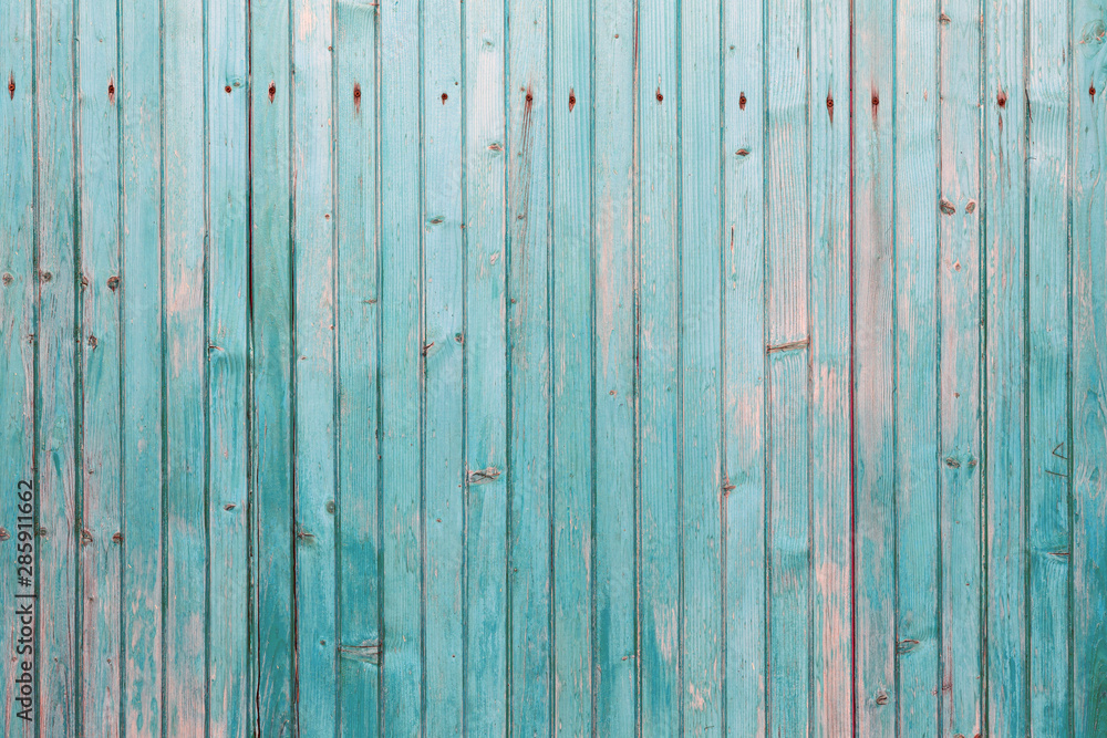 Fototapeta premium The old blue wood texture with natural patterns