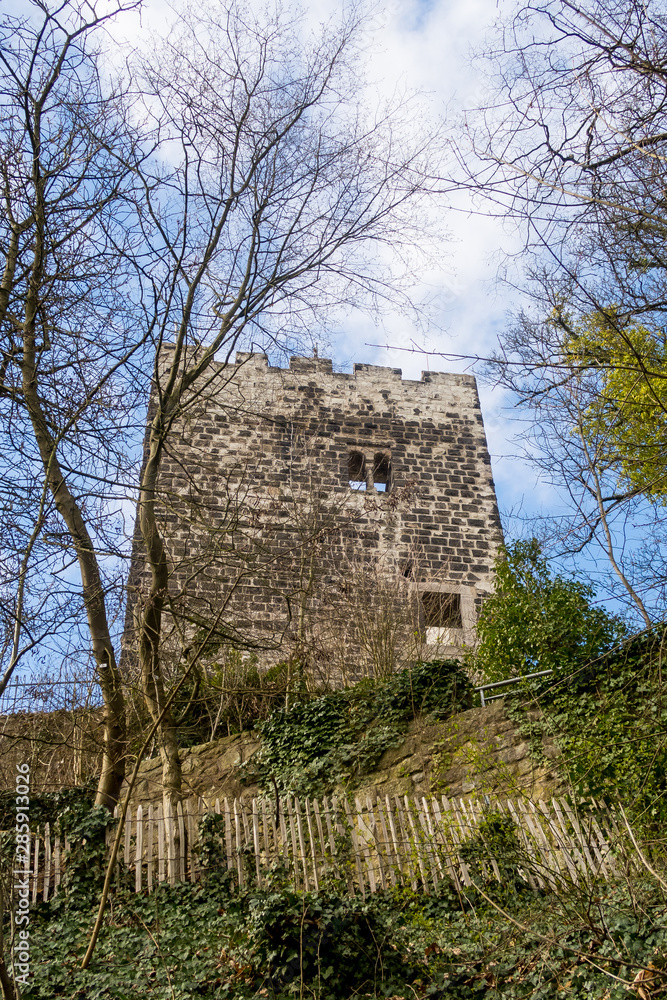 Castle Ruin Drachenfels in the Siebengebirge mountains, North Rhine-Westphalia, Germany Castle Ruin Drachenfels in the Siebengebirge mountains, North Rhine-Westphalia, Germany