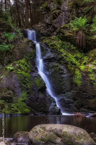 waterfall in forest