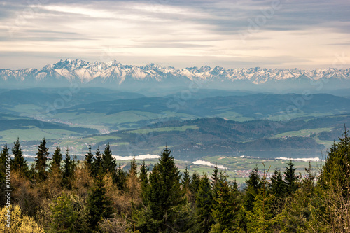 Fototapeta Naklejka Na Ścianę i Meble -  Widok na Tatry