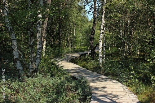 Holzbohlenweg durch das Schwarze Moor in der Rhön