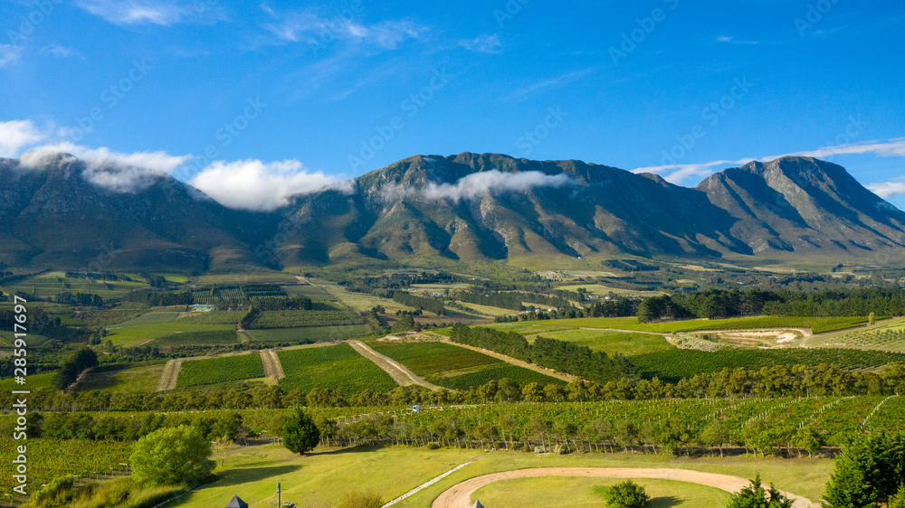 Weinlandschaft Südafrika