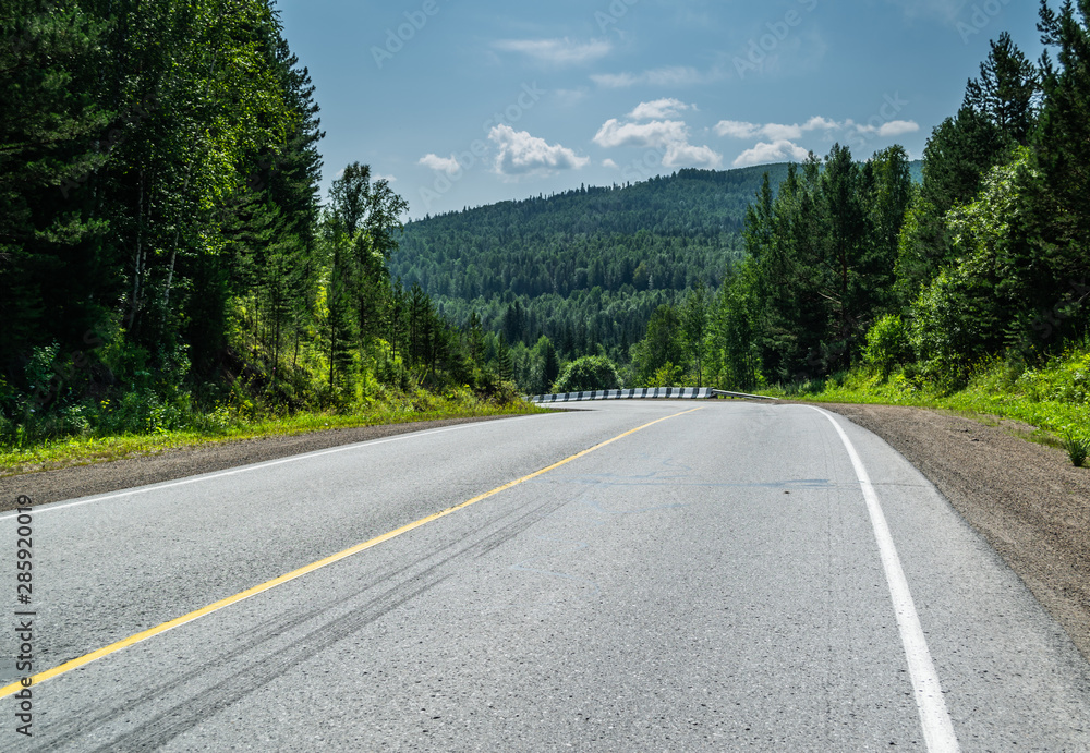 Empty highway road leading through pine forest in Krasnoyarsk region, Russia Empty highway road leading through pine forest in Krasnoyarsk region, Russia