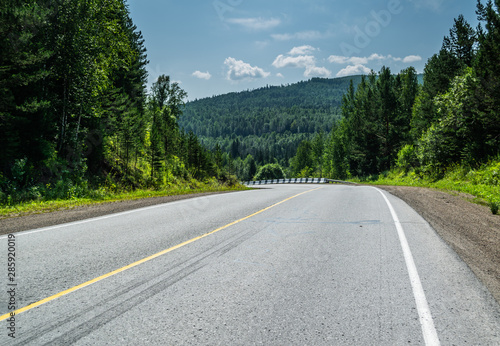 Empty highway road leading through pine forest in Krasnoyarsk region, Russia