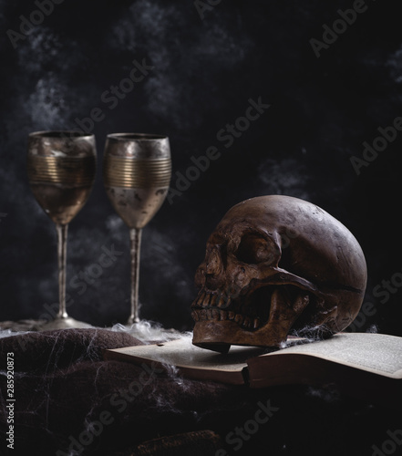 Human Skull on an Old Book