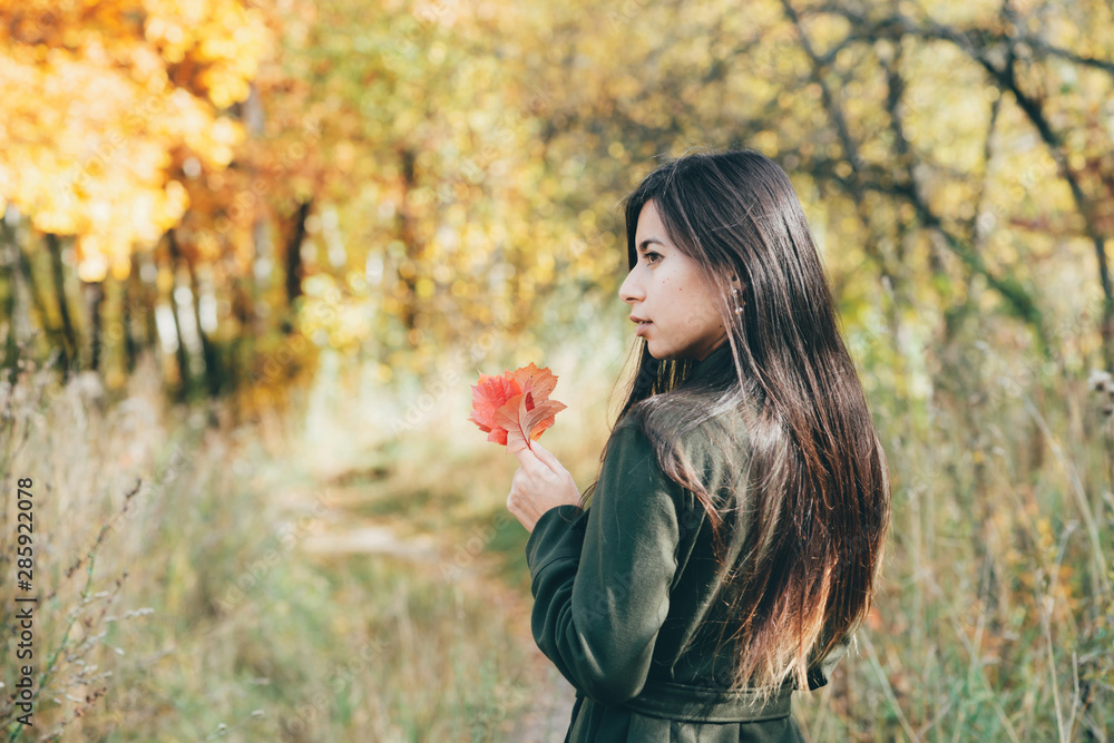 Naklejka premium Female beauty portrait surrounded by vivid foliage. Dreamy beautiful girl with long natural black hair on autumn background with colorful leaves in bokeh. Fallen leaves in girl hands in autumn forest.