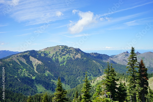 Beautiful mountains in Olympic National Park in summer in Washington, near Seattle 