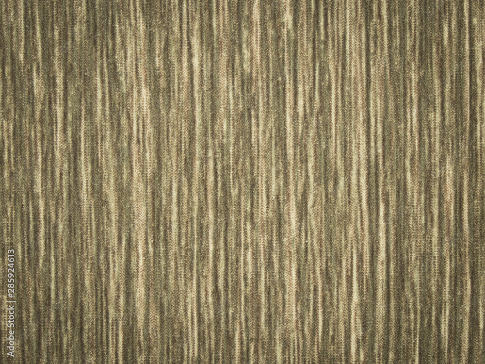 Fototapeta premium Wood texture and background