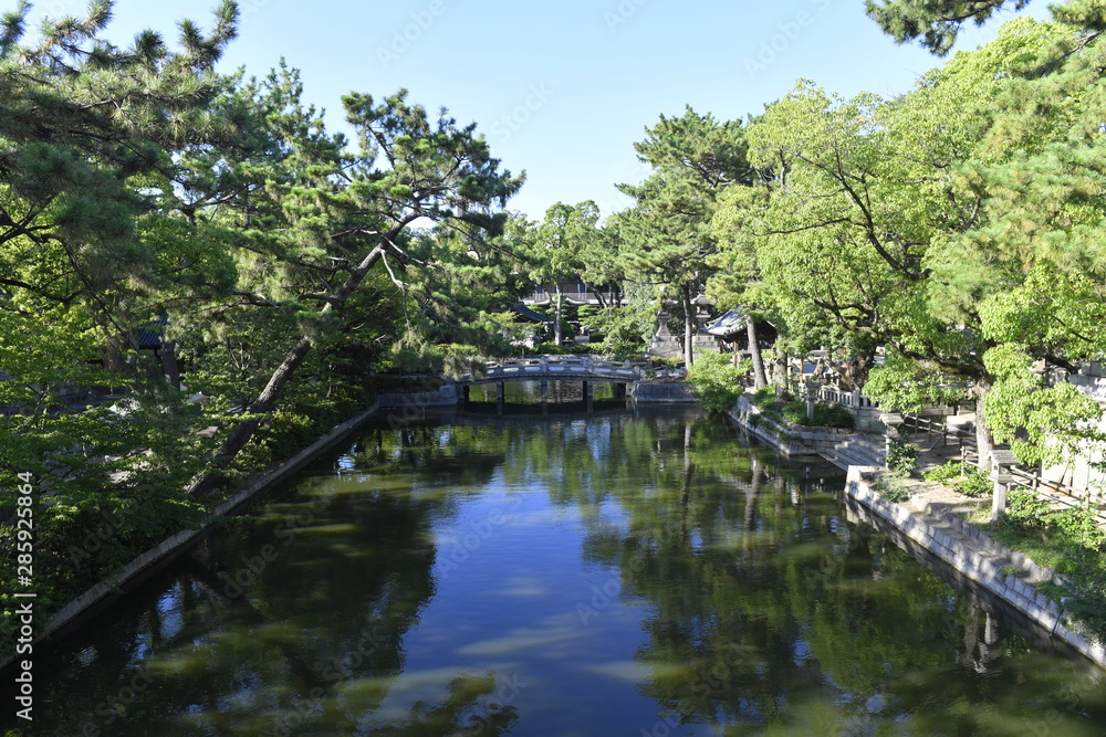 The gracefully arched Taiko-bashi bridge (also Taikobashi or Sorihashi Bridge) standing on the pond in front of the Sumiyoshi Taisha, Osaka, Japan. The gracefully arched Taiko-bashi bridge (also Taikobashi or Sorihashi Bridge) standing on the pond in front of the Sumiyoshi Taisha, Osaka, Japan.