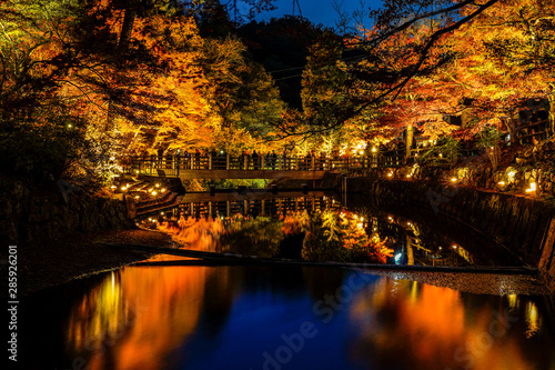 Autumn leaves light up in Iwayado Park,the bridge across river ,water reflection on pond surface so beautiful,Gyomyoga taki Waterfall and Seto Otaki Waterfall Toppara riverside at night time in Japan