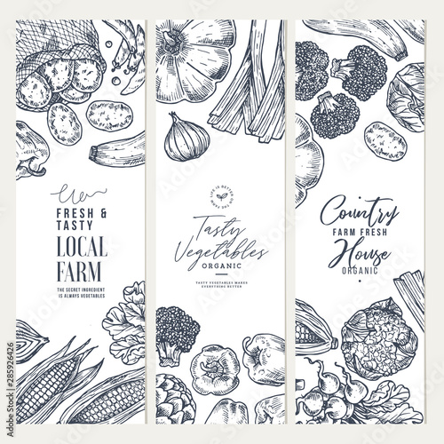 Farm vegetables banner collection. Top view. Growing concept. Organic fresh vegetables. Summer food concept. Vector illustration