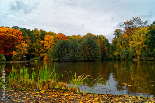 Autumn colors - Herbstfarben © Sven Förter