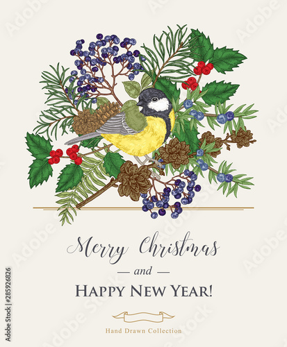 Christmas card with a bird and winter plants. Hand drawn tit, holly, pine branch, and elderberry. Colorful vector illustration. Vintage engraving style.